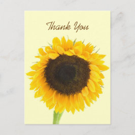 Postal Girasol Gracias Postcard