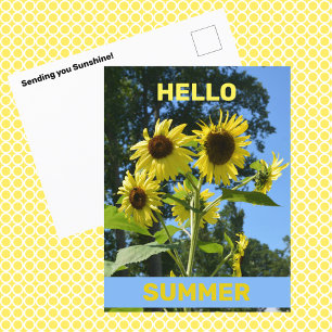 Postal Girasol Hola Verano Floral Fotográfico