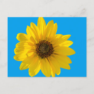 Postal Girasol iluminado (Helianthus)