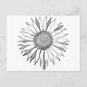 Postal Girasol ilustrado