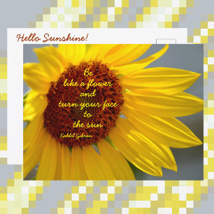 Postal Girasol Sé como una Flor cita Fotográfica