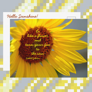 Postal Girasol Sé como una Flor cita Fotográfica