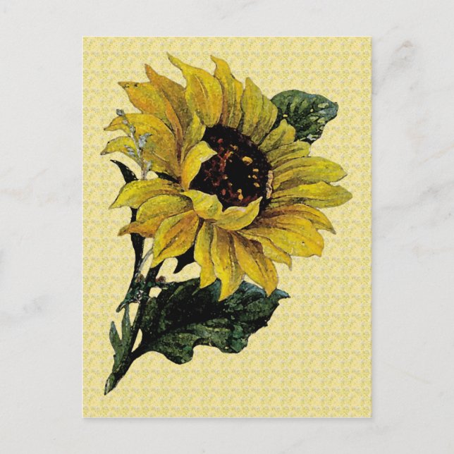 Postal Girasol vintage (Anverso)