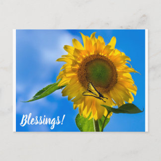 Postal Girasol y mariposa