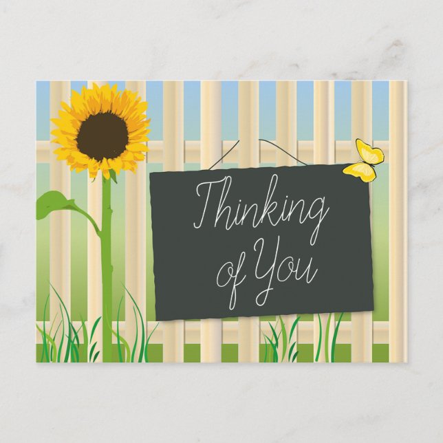 Postal Girasol y mariposa (Anverso)