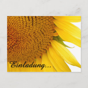 Postal Girasoles