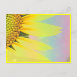 Postal Girasoles de primavera