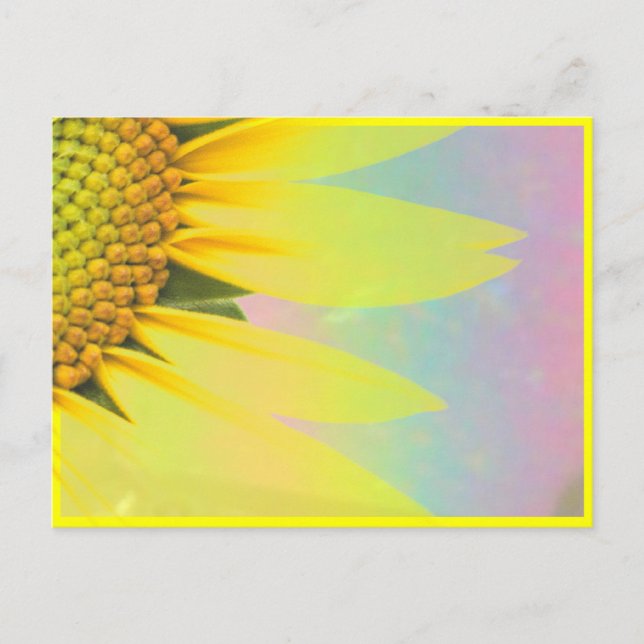 Postal Girasoles de primavera (Anverso)