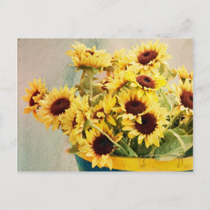 Postal Girasoles en barril - horizontal