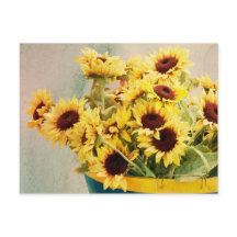 Girasoles en barril - horizontal