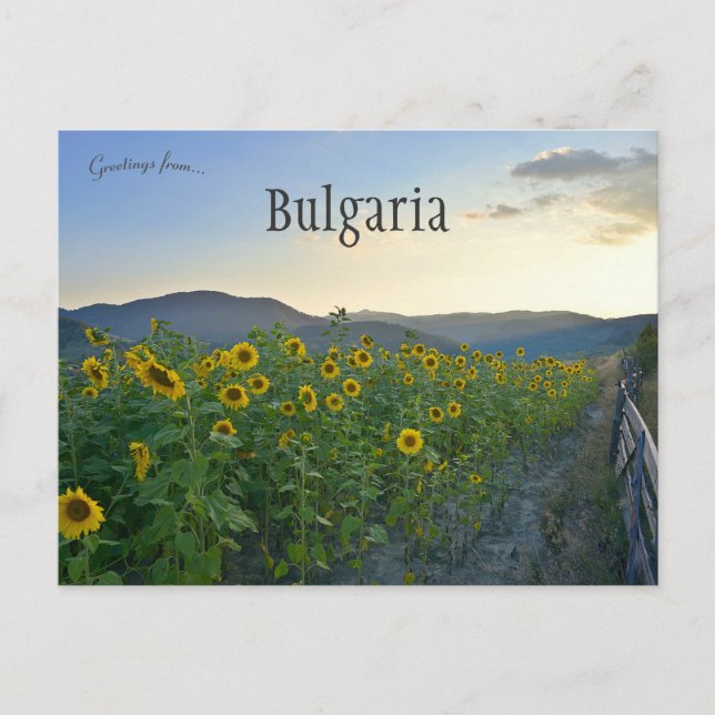 Postal Girasoles en Devin Bulgaria (Anverso)