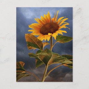 Postal Girasoles Florales Amarillo y Azul Hola Amor
