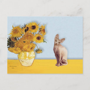 Postal Girasoles - gato Sphyx crema