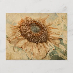 Postal Girasoles Gigantes Amarillos Arte Antiguo Decoupag