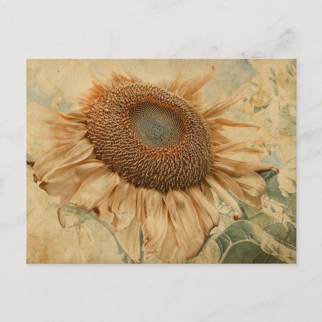 Postal Girasoles Gigantes Amarillos Arte Antiguo Decoupag (Anverso)