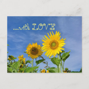 Postal Girasoles para ti ...
