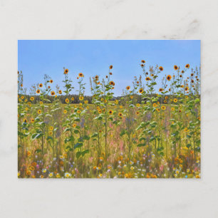 Postal Girasoles Silvestres en una Publicación de Cerca d