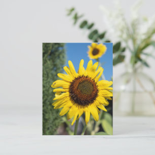 Postal Girasoles Vibrantes