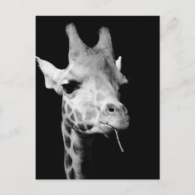 Postal giratoria (Anverso)