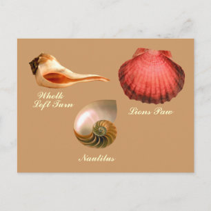 Postal Giro a la izquierda, Nautilus, Paw de los Leones