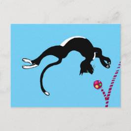 Postal Giro de gato