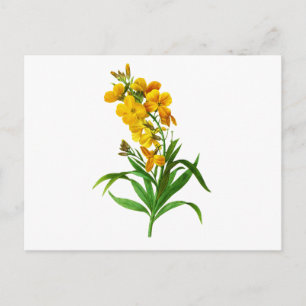 Postal Giroflee Jaune por Pierre Joseph Redoute