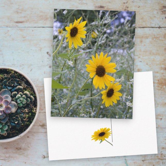 Postal Giros diagonales (three sunflower front and back single sunflower postcard)