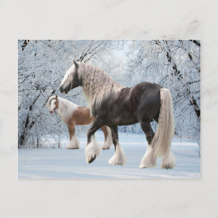 Postal "Gitanos de Nieve"