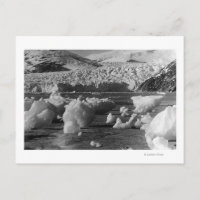 Glaciar Taku cerca de Juneau, Alaska Fotografía