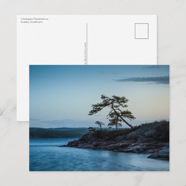 Postal Glaskogen Suecia (Anverso / Reverso)