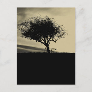 Postal Glastonbury Hawthorn. Árbol en la colina. Color Se
