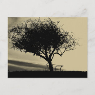 Postal Glastonbury Hawthorn. Árbol en la colina. Color Se