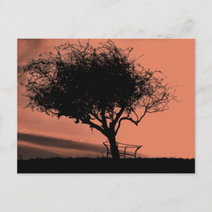 Postal Glastonbury Hawthorn. Árbol en la colina. Naranja 