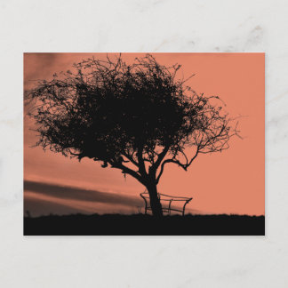 Postal Glastonbury Hawthorn. Árbol en la colina. Naranja 
