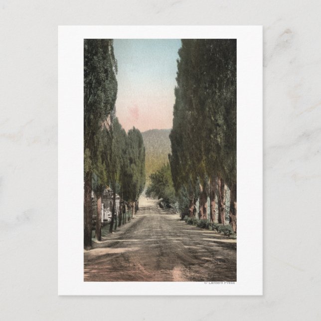 Postal Glenwood Springs, Colorado (Anverso)