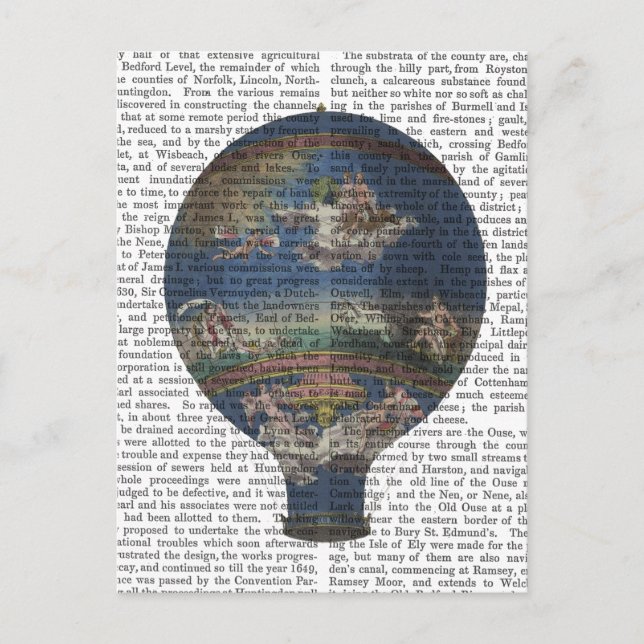 Postal Globo aerostático de máquina (Anverso)