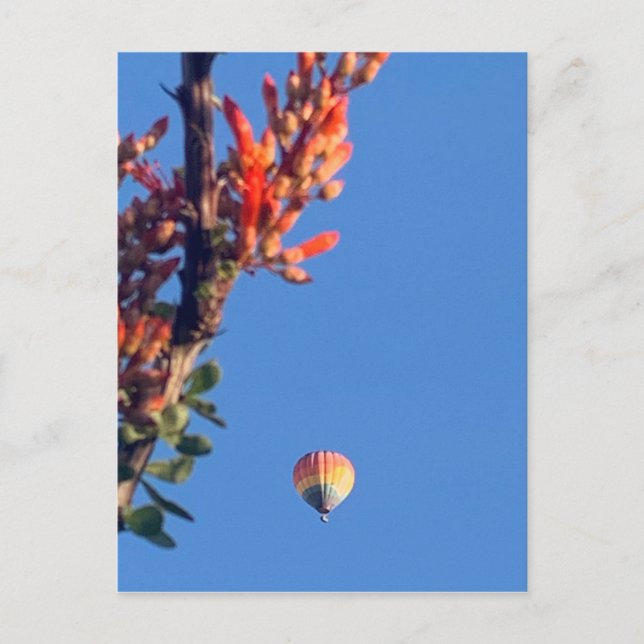 Postal Globo de aire caliente arco iris Nuevo México (Anverso)