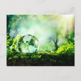 Postal Globo de cristal en un bosque verde