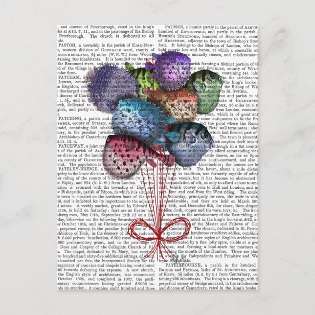 Postal Globos de peces Puffer (Anverso)