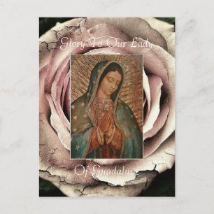 Postal Gloria A Nuestra Señora De Guadalupe