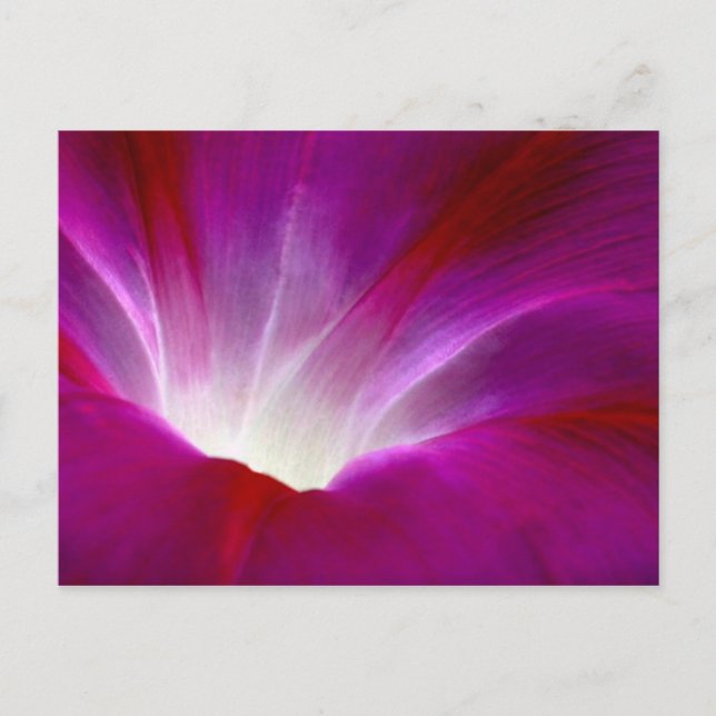 Postal Gloria de la Mañana (2) (Anverso)