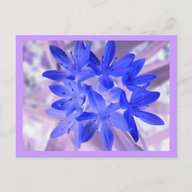 Postal Gloria De La Sorprendente Postcarta Azul De Nieve (Anverso)