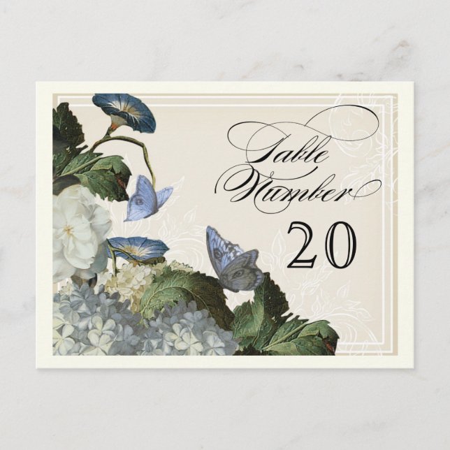 Postal Gloria matutina Hidrangea - Números de asiento de  (Anverso)