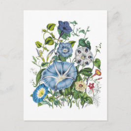 Postal Glorias de la mañana