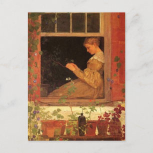 Postal Glorias de la mañana - Postcard