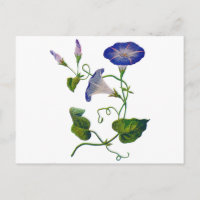 Glorias mortales azules con bordado