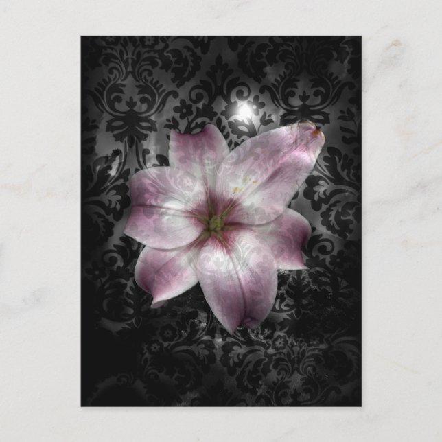 Postal Glorioso Misterio (Anverso)