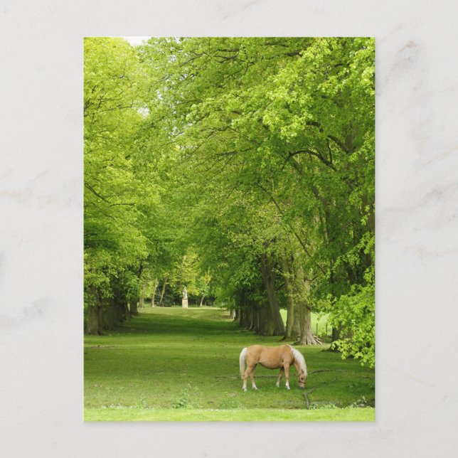 Postal Gloucestershire, Reino Unido (Anverso)