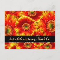 Glowing Gerbera Daisies gracias