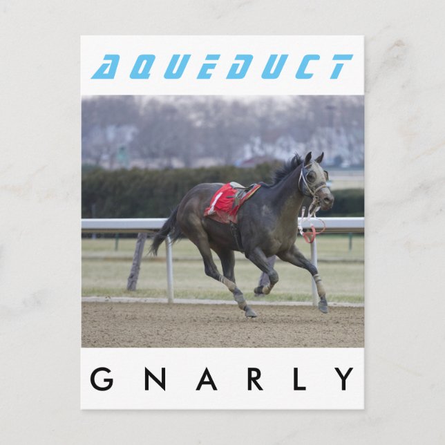 Postal Gnarly (Anverso)